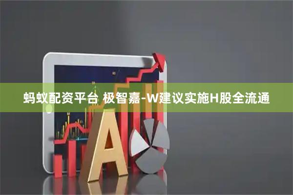 蚂蚁配资平台 极智嘉-W建议实施H股全流通
