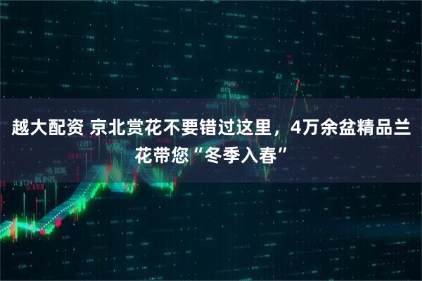 越大配资 京北赏花不要错过这里，4万余盆精品兰花带您“冬季入春”
