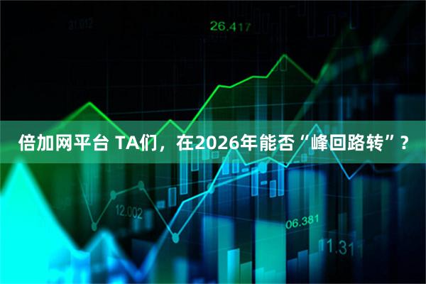 倍加网平台 TA们，在2026年能否“峰回路转”？